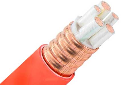 <a href='http://www.bjshj.com/kuangwuzhidianlan/' target='_blank'><u>礦物質(zhì)電纜</u></a>